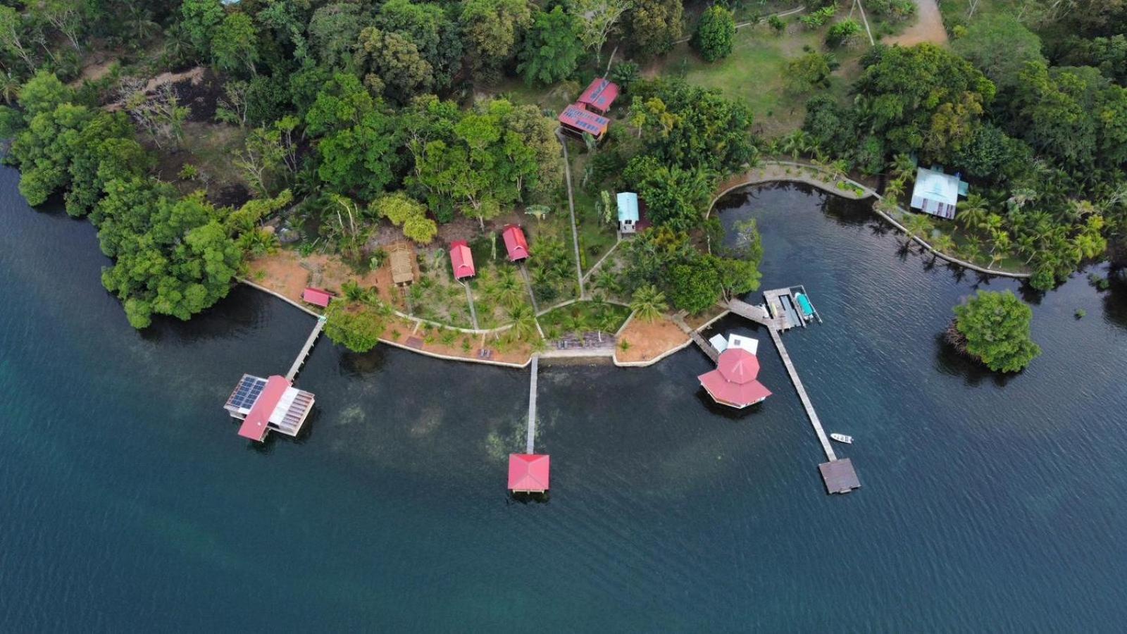 Dolphin Blue Paradise Bocas del Toro Exterior photo