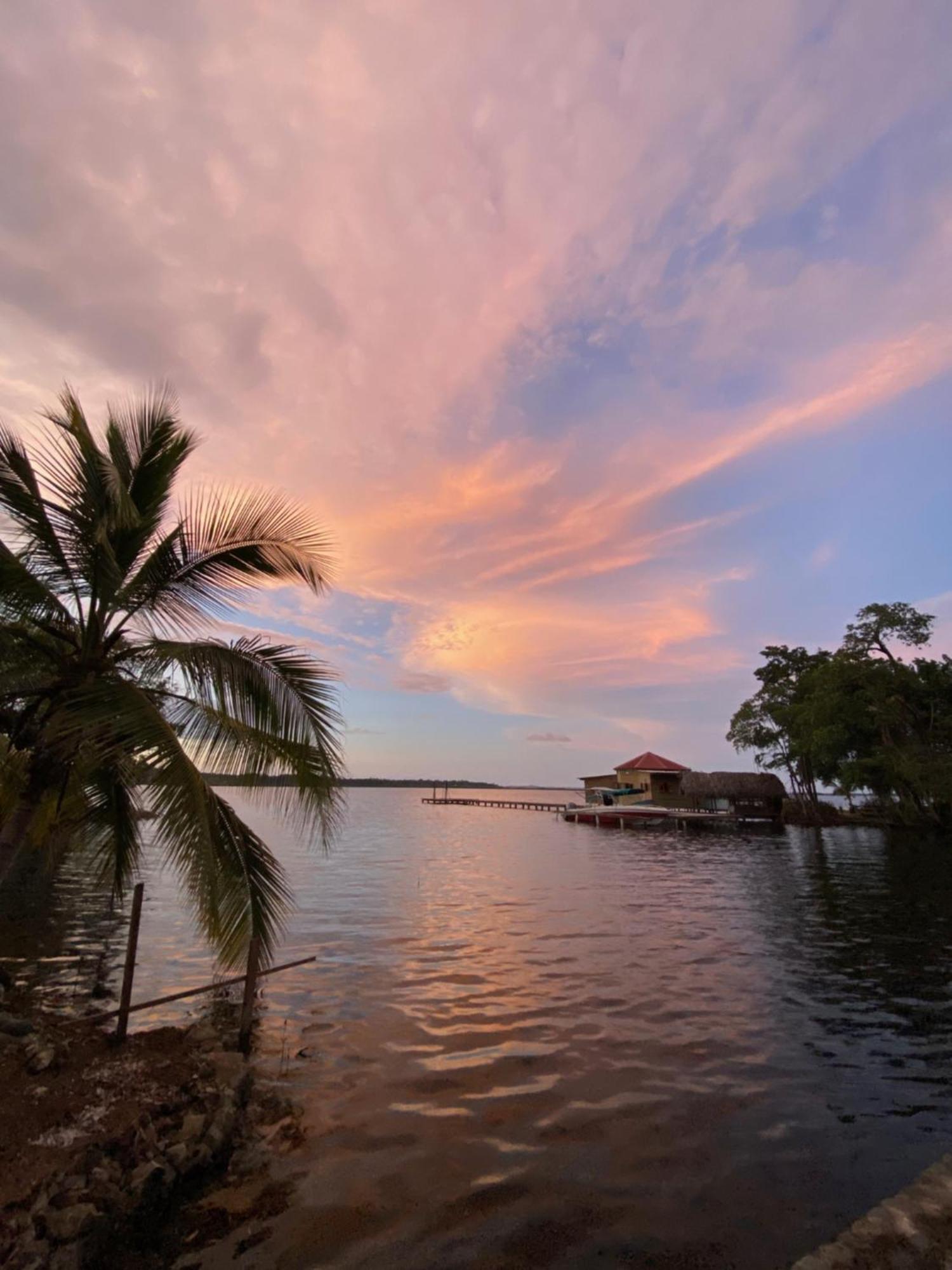 Dolphin Blue Paradise Bocas del Toro Exterior photo