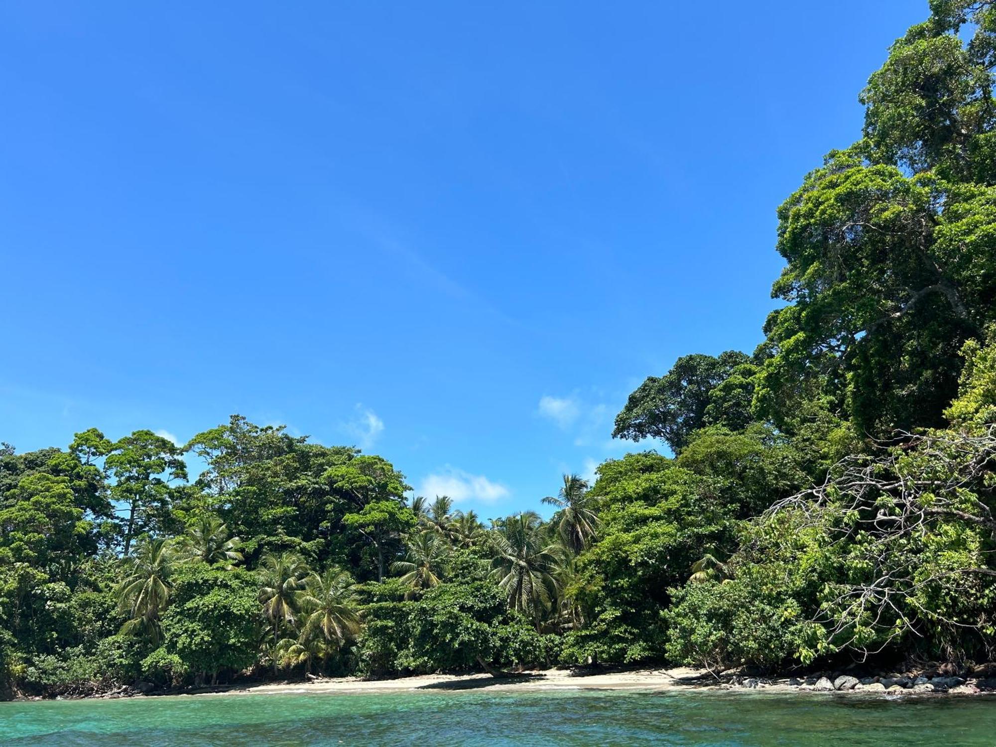 Dolphin Blue Paradise Bocas del Toro Exterior photo